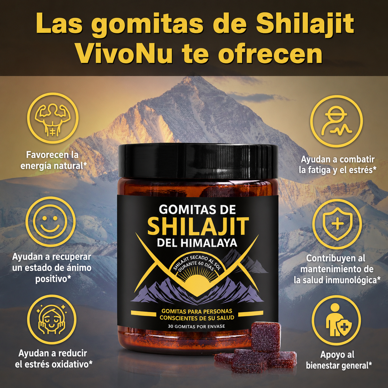Gomitas de Shilajit